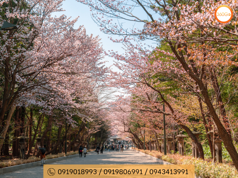 Công Viên Maruyama - Kyoto - Du lịch 360Go